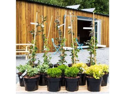 Shipping Container Conversions 40ft Siberian Larch cladded garden centre CS26667