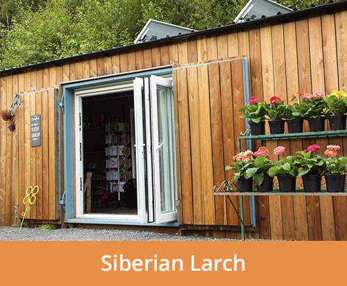 siberian larch cladding